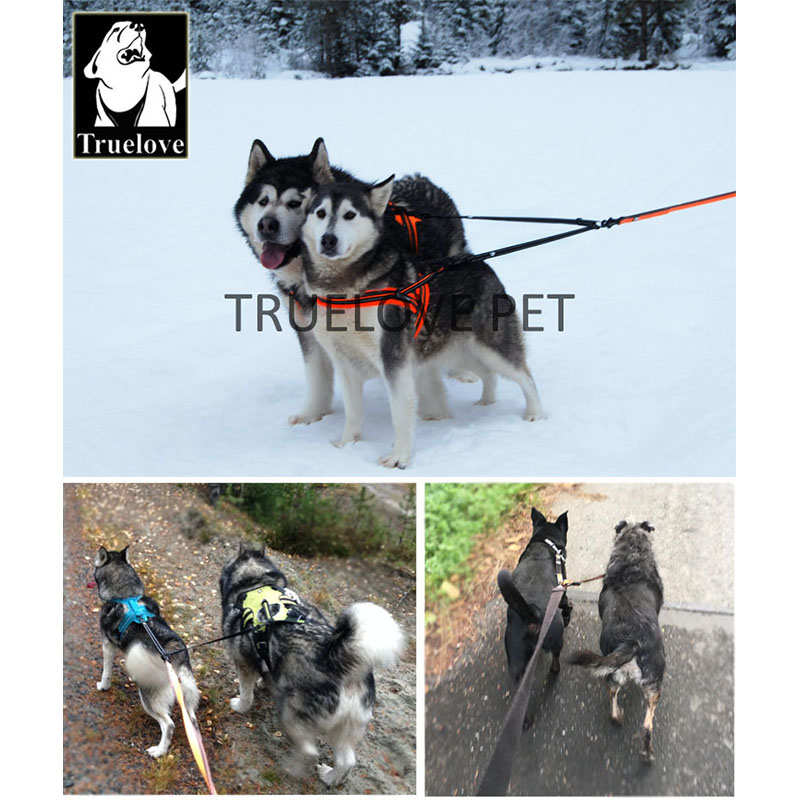Smycz nylonowa dla dwóch psów  – Running Gear Dog recenzja i cena