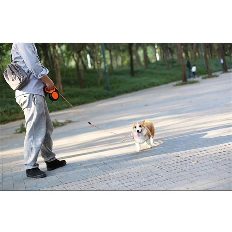 3M/5M/8M Chowana smycz dla psa – Running Gear Dog recenzja i cena