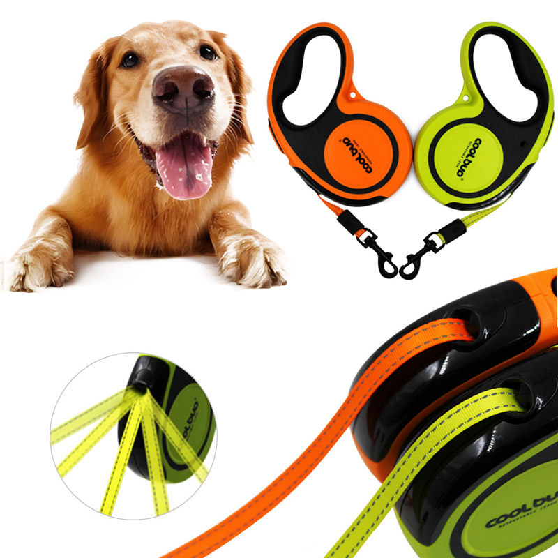 Smycz do ciągnięcia psa z auto – Running Gear Dog recenzja i cena